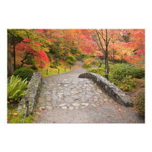 Impression Photo WA, Seattle, arboretum du Washington Park,