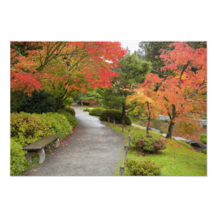 Impression Photo WA, Seattle, arboretum du Washington Park, 2