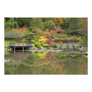 Impression Photo WA, Seattle, arboretum du Washington Park, 3