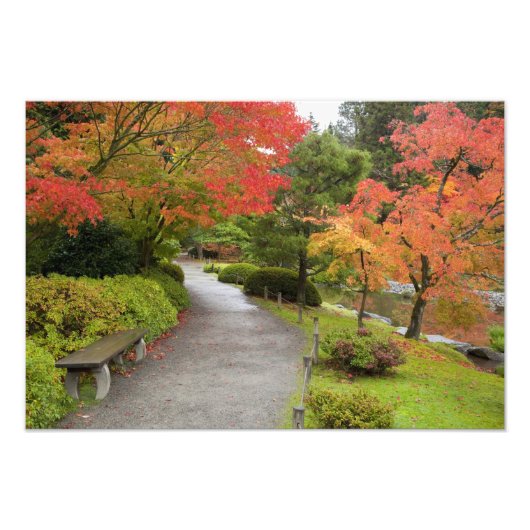 Impression Photo WA, Seattle, Washington Park Arboretum, 2 (Devant)