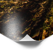 Impression Photo Walnut Woods Metro Park, Groveport, Ohio (Coin)