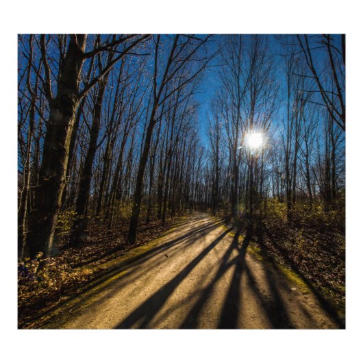 Impression Photo Walnut Woods Metro Park, Groveport, Ohio (Devant)