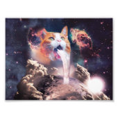 Impression Photo Waterfall cat (Devant)