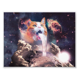 Impression Photo Waterfall cat