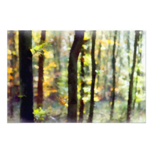 Impression Photo Watery Woods