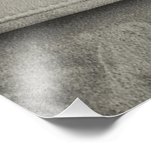 Impression Photo Weimaraner (Coin)