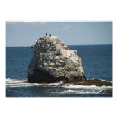 Impression Photo Whale Rock (Devant)