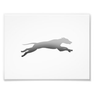 Impression Photo Whippet Silhouette Running