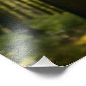 Impression Photo Whispering Forest (Coin)