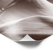 Impression Photo White Calla Lily Flower Black Background (Coin)