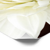 Impression Photo White Dahlia Sepia Dahlia Closeup Modèle (Coin)