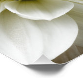 Impression Photo White Dahlia Sepia Dahlia Closeup Modèle (Coin)