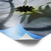 Impression Photo white flowers (Coin)