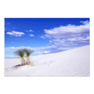 Impression Photo White Sands NM, Nouveau-Mexique, États-Unis