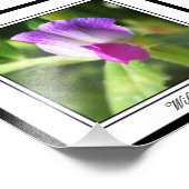 Impression Photo Wild Sweetie (Coin)