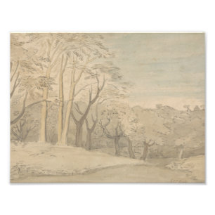 Impression Photo William Blake - Un paysage boisé