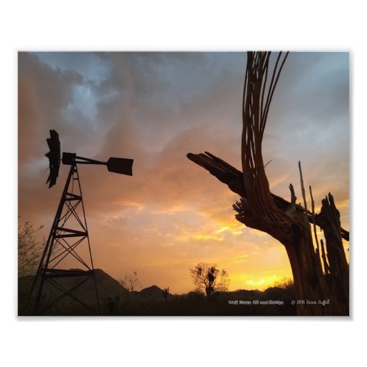Impression Photo Windmill et Saguaro Cactus Skeleton au coucher du  (Devant)