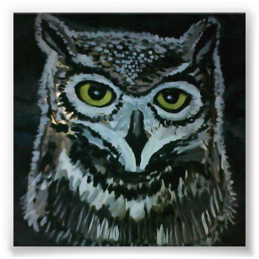 Impression Photo Wise Owl (Devant)