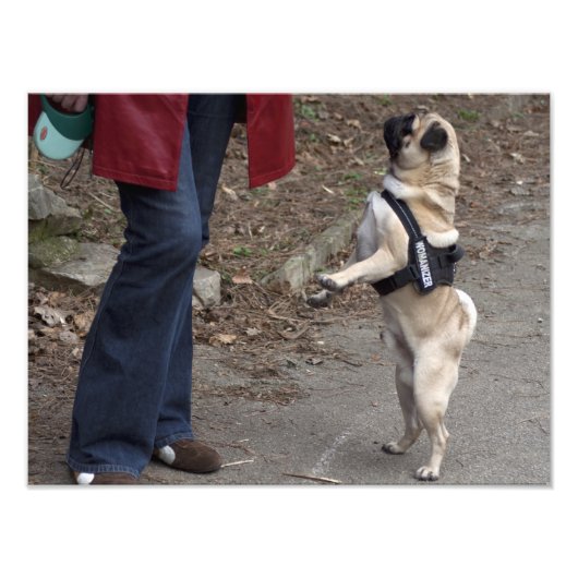 Impression Photo Womanizer (Devant)