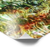 IMPRESSION PHOTO WOODLAND (Coin)