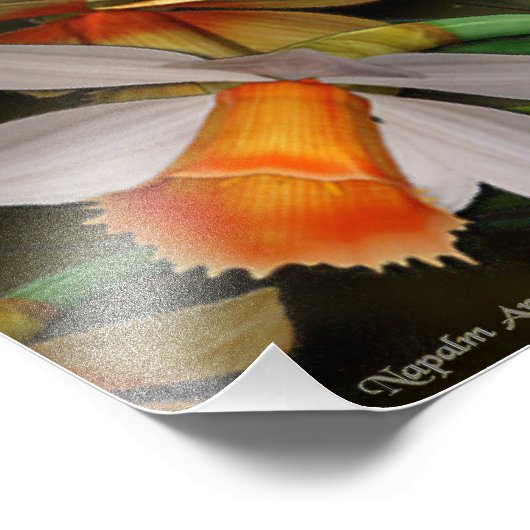 Impression Photo Wordsworth (Coin)