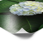 IMPRESSION PHOTO WOW ! (Coin)