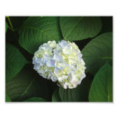 IMPRESSION PHOTO WOW ! (Devant)