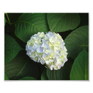 IMPRESSION PHOTO WOW !