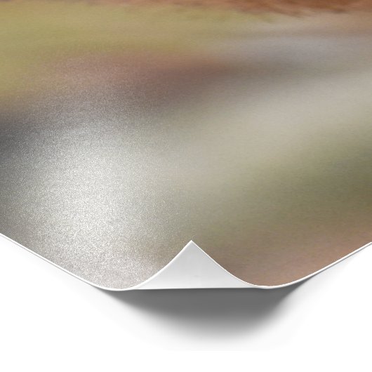 Impression Photo Wren (Coin)