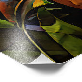 Impression Photo « Yaraquim » Fleur de Jaguar - Femmes en Amazonie (Coin)