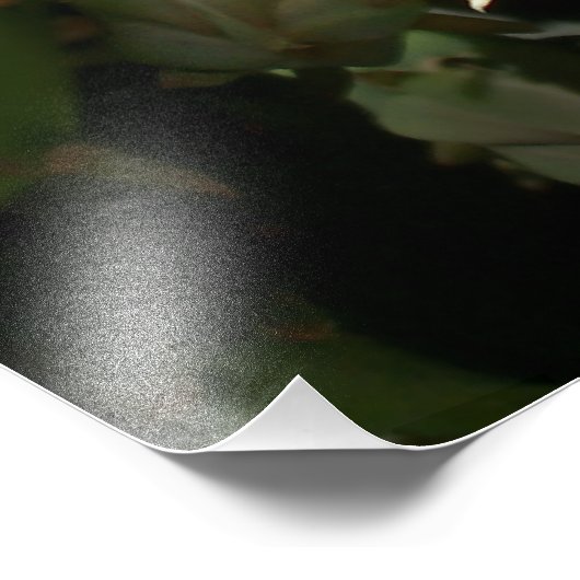 Impression Photo Yellow Cactus (Coin)