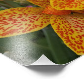 Impression Photo Yellow Canna Lily with Red Speckles Floral (Coin)
