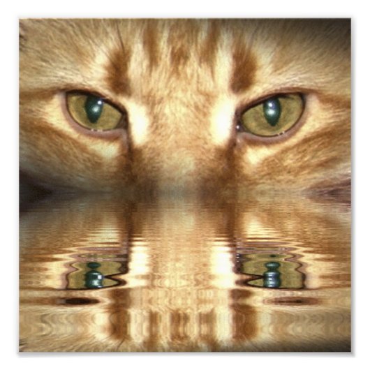 Impression Photo Yeux de chat (Devant)