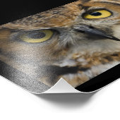 Impression Photo Yeux de hibou avec bordure noire (Coin)