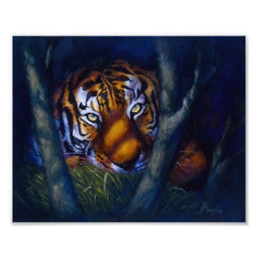 Impression Photo Yeux de tigre (Devant)