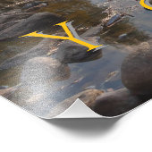 Impression Photo Yosemite (Coin)