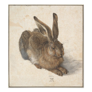 Impression Photo Young Hare par Albrecht Durer