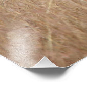 Impression Photo Zebra (Coin)