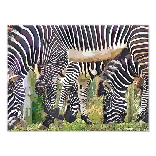 IMPRESSION PHOTO ZEBRAS (Devant)