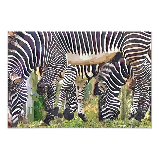 IMPRESSION PHOTO ZEBRAS (Devant)