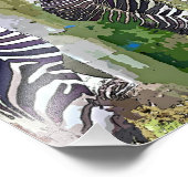 IMPRESSION PHOTO ZEBRAS (Coin)