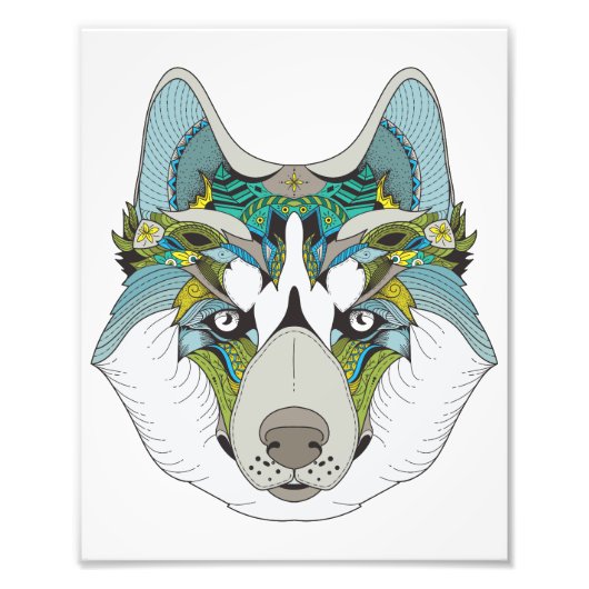 Impression Photo Zenart motif Husky Dog Blue Husky Face (Devant)