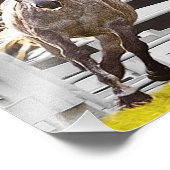 Impression Photo Zest for Life (Coin)