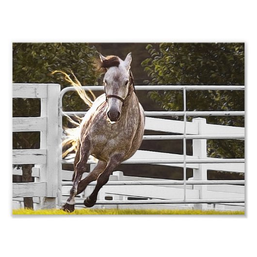 Impression Photo Zest for Life (Devant)