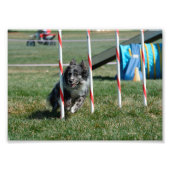 Impression Photo Zoé 2 (Devant)