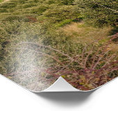 Impression Photo Zones rurales en Crète, Grèce (Coin)