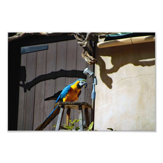 Impression Photo Zoo de Los Angeles (Devant)