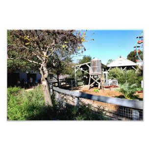 Impression Photo Zoo de Santa Ana