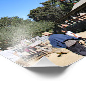 Impression Photo Zoo de Santa Ana (Coin)
