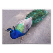 Impression photographique (Devant)